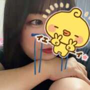 ヒメ日記 2024/12/13 08:41 投稿 みき スピードエコ日本橋店