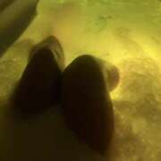 ヒメ日記 2024/12/31 08:49 投稿 みき スピードエコ日本橋店