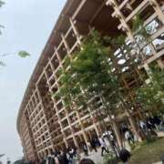 ヒメ日記 2025/05/14 17:09 投稿 みき スピードエコ日本橋店