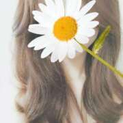 ヒメ日記 2025/07/11 10:24 投稿 山口しずか オトコのたしなみSPA