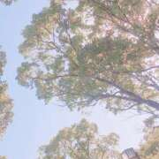 ヒメ日記 2025/05/14 18:10 投稿 一条あずさ 華女 第二章