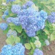 ヒメ日記 2025/05/25 18:03 投稿 一条あずさ 華女 第二章