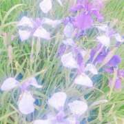 ヒメ日記 2025/06/08 11:53 投稿 一条あずさ 華女 第二章