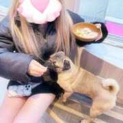 あやめ いぬかわいかった！ 池袋ぱんぷきん（シンデレラグループ）