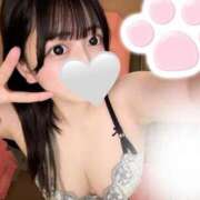 ヒメ日記 2025/05/03 15:06 投稿 はづき 恋するバニー