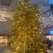 ヒメ日記 2024/12/21 02:05 投稿 あんず 丸の内