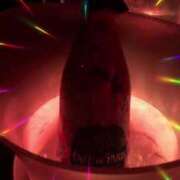 ヒメ日記 2025/01/18 02:25 投稿 あんず 丸の内