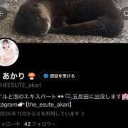 ヒメ日記 2026/09/16 09:20 投稿 あかり THE ESUTE 五反田店