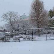 ヒメ日記 2026/02/08 11:37 投稿 ここな オトナのハンドメイド