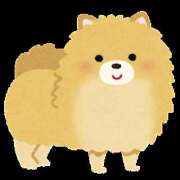 ヒメ日記 2025/09/13 16:47 投稿 もえは オトナのハンドメイド