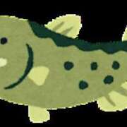 ヒメ日記 2025/11/08 20:17 投稿 もえは オトナのハンドメイド