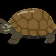 ヒメ日記 2025/11/08 20:22 投稿 もえは オトナのハンドメイド