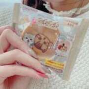 ヒメ日記 2025/02/26 11:22 投稿 しおり オトナのハンドメイド