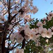 ヒメ日記 2025/03/07 11:43 投稿 しおり オトナのハンドメイド