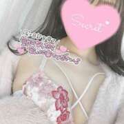 ヒメ日記 2024/12/18 11:55 投稿 ひなた オトナのハンドメイド