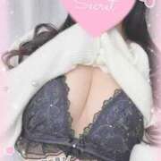 ヒメ日記 2024/12/30 11:18 投稿 ひなた オトナのハンドメイド