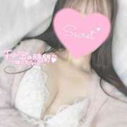 ヒメ日記 2025/01/05 15:05 投稿 ひなた オトナのハンドメイド