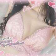 ヒメ日記 2025/01/08 14:21 投稿 ひなた オトナのハンドメイド