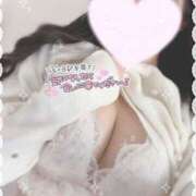 ヒメ日記 2025/01/18 12:06 投稿 ひなた オトナのハンドメイド