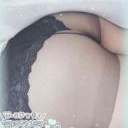 ヒメ日記 2025/02/14 13:18 投稿 ひなた オトナのハンドメイド