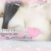 ヒメ日記 2025/02/23 14:11 投稿 ひなた オトナのハンドメイド