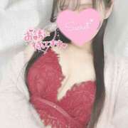 ヒメ日記 2025/03/11 13:05 投稿 ひなた オトナのハンドメイド