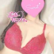 ヒメ日記 2025/03/19 22:40 投稿 ひなた オトナのハンドメイド