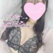 ヒメ日記 2025/03/20 12:45 投稿 ひなた オトナのハンドメイド