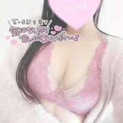 ヒメ日記 2025/03/21 16:41 投稿 ひなた オトナのハンドメイド