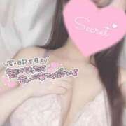 ヒメ日記 2025/03/25 23:24 投稿 ひなた オトナのハンドメイド