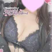 ヒメ日記 2025/03/30 12:57 投稿 ひなた オトナのハンドメイド