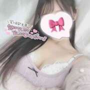 ヒメ日記 2025/04/02 16:05 投稿 ひなた オトナのハンドメイド