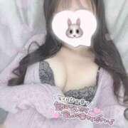 ヒメ日記 2025/04/05 14:42 投稿 ひなた オトナのハンドメイド