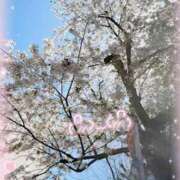 ヒメ日記 2025/04/09 17:24 投稿 ひなた オトナのハンドメイド