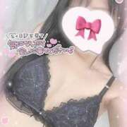 ヒメ日記 2025/04/10 20:14 投稿 ひなた オトナのハンドメイド