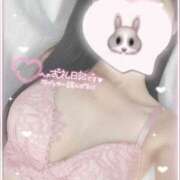 ヒメ日記 2025/04/30 14:12 投稿 ひなた オトナのハンドメイド