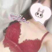 ヒメ日記 2025/05/09 17:03 投稿 ひなた オトナのハンドメイド