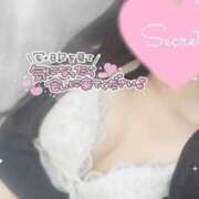 ヒメ日記 2025/05/12 13:34 投稿 ひなた オトナのハンドメイド