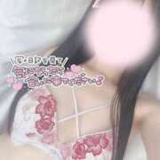 ヒメ日記 2025/05/20 14:22 投稿 ひなた オトナのハンドメイド