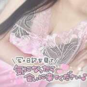 ヒメ日記 2025/06/17 11:05 投稿 ひなた オトナのハンドメイド