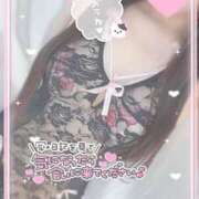 ヒメ日記 2025/06/18 15:46 投稿 ひなた オトナのハンドメイド