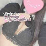 ヒメ日記 2025/06/20 18:02 投稿 ひなた オトナのハンドメイド