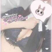 ヒメ日記 2025/06/25 14:11 投稿 ひなた オトナのハンドメイド