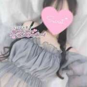 ヒメ日記 2025/06/29 12:41 投稿 ひなた オトナのハンドメイド