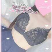 ヒメ日記 2025/07/29 16:09 投稿 ひなた オトナのハンドメイド