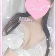 ヒメ日記 2025/07/30 16:43 投稿 ひなた オトナのハンドメイド