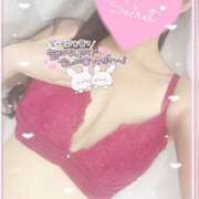 ヒメ日記 2025/08/13 15:19 投稿 ひなた オトナのハンドメイド