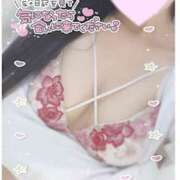 ヒメ日記 2025/08/19 17:42 投稿 ひなた オトナのハンドメイド