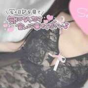 ヒメ日記 2025/08/22 17:46 投稿 ひなた オトナのハンドメイド