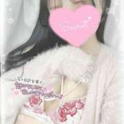 ヒメ日記 2025/10/28 11:10 投稿 ひなた オトナのハンドメイド